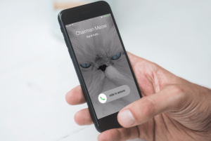 تطبيق سيجنال يطلق رسميا ميزة مكالمات الفيديو